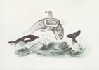 Orca